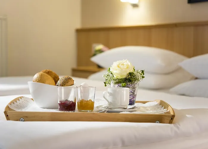 艾蒙沃得酒店 Monheim am Rhein